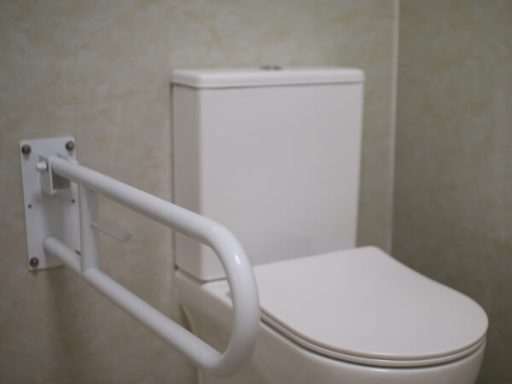 Inodoro con barra de apoyo lateral blanca en un baño.