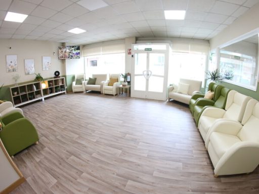 Sala de espera con sillones verdes y blancos, suelo de madera y luz natural.